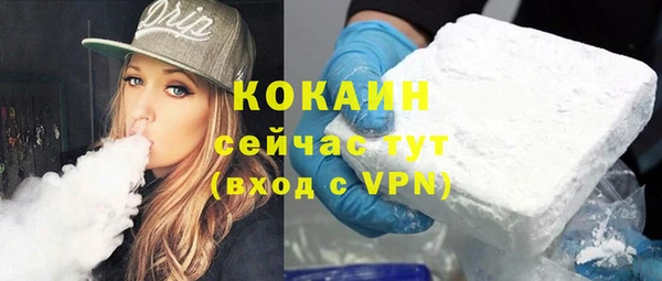 ГАЛЛЮЦИНОГЕННЫЕ ГРИБЫ Богданович