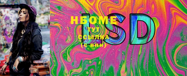 ГАЛЛЮЦИНОГЕННЫЕ ГРИБЫ Богданович