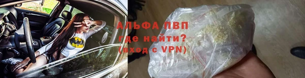 ГАЛЛЮЦИНОГЕННЫЕ ГРИБЫ Богданович