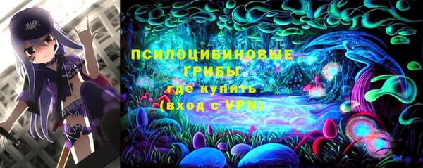 ГАЛЛЮЦИНОГЕННЫЕ ГРИБЫ Богданович