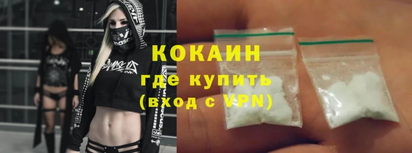 ГАЛЛЮЦИНОГЕННЫЕ ГРИБЫ Богданович