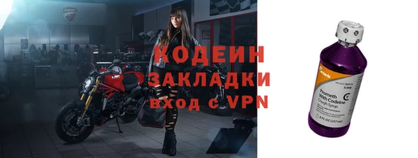 ГАЛЛЮЦИНОГЕННЫЕ ГРИБЫ Богданович