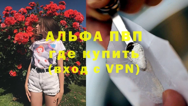 ГАЛЛЮЦИНОГЕННЫЕ ГРИБЫ Богданович