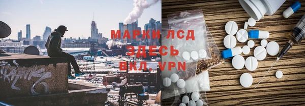 ГАЛЛЮЦИНОГЕННЫЕ ГРИБЫ Богданович