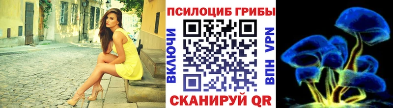 Псилоцибиновые грибы мицелий  Елизаветинская 